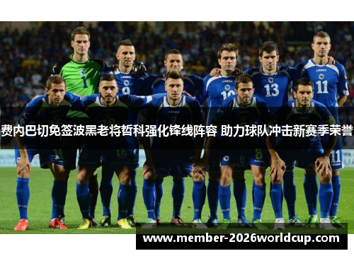 费内巴切免签波黑老将哲科强化锋线阵容 助力球队冲击新赛季荣誉 费内巴切免签波黑老将哲科强化锋线阵容 助力球队冲击新赛季荣誉